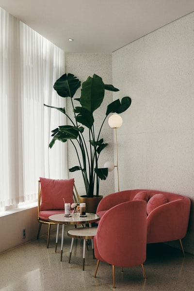 绿色室内植物旁的红色真皮沙发椅